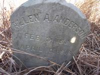 Allen A Anderson
