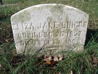 Eliza Jane Briggs