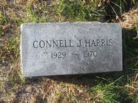 Connell Harris
