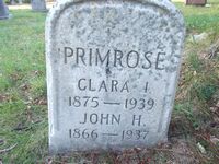 Clara Primrose