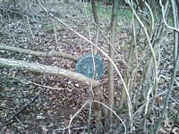 American Legion Marker