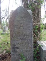 Annie E Anderson