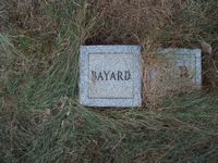 Bayard plot