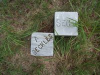 A Beckles plot