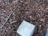 Benson plot marker