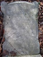 Moses Biddle