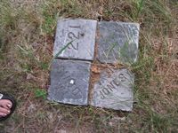 Davis Plot marker