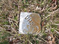Dumpson family plot