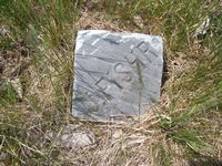 J Fisher plot