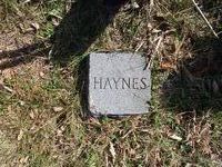 Haynes