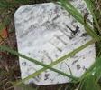 Hill Plot