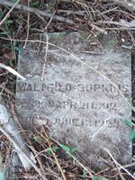 Walter O Hopkins