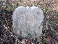 Ernest H Johnson