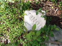 Jones plot marker