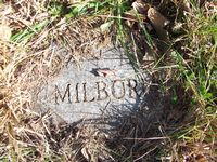 Milborn