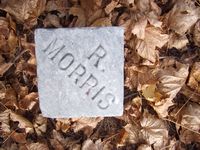 Morris marker