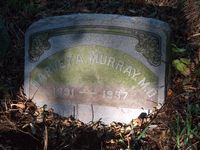 Harvey Murray