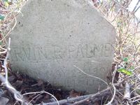 Irvin Palmer