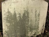 Postles