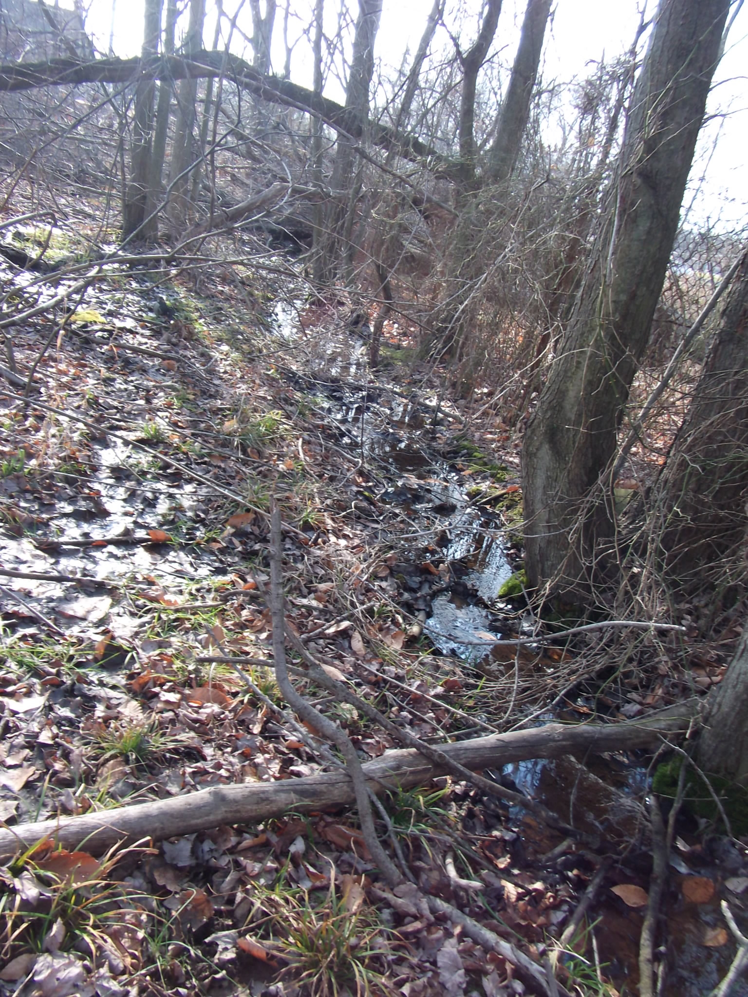 Stream
