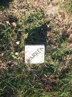 Warren plot marker