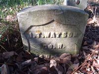 J M Watson