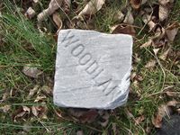 Woodland plot