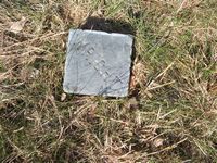 Wright marker